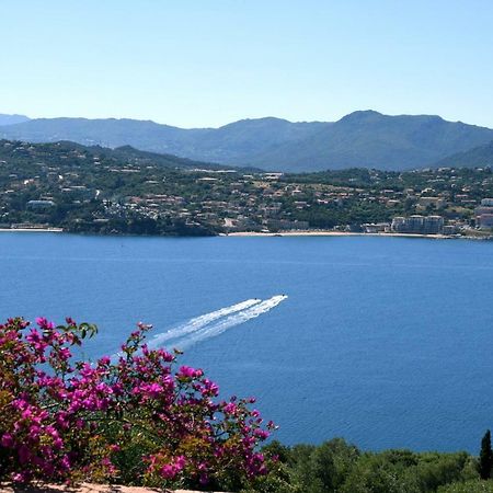 Villa Vetricella Corse Sud โอลเมโท ภายนอก รูปภาพ