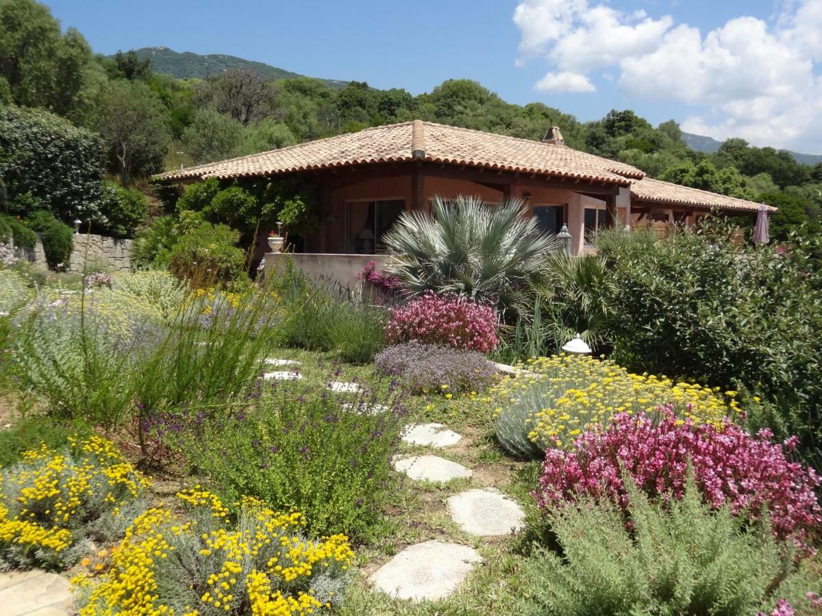 Villa Vetricella Corse Sud โอลเมโท ภายนอก รูปภาพ